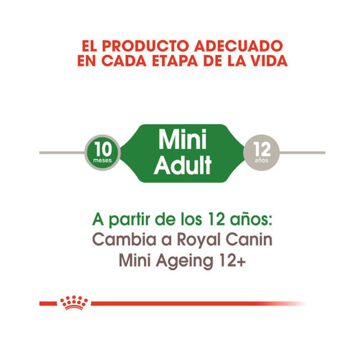 Royal Canin Mini Adult sobre en salsa para perros, , large image number null